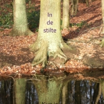Een boom, weerspiegeld in het stille water.