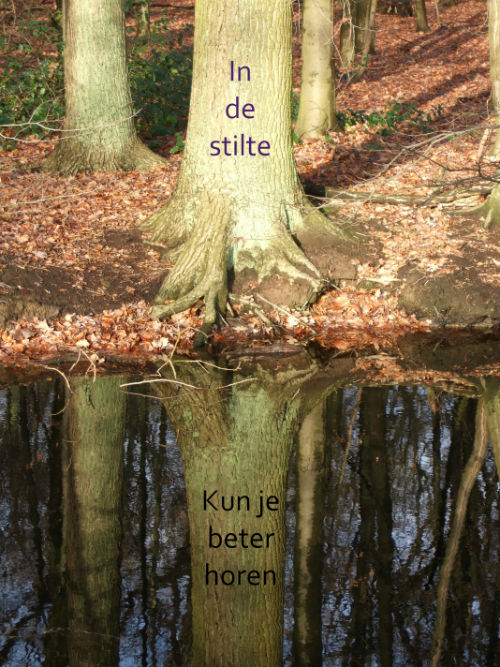 Een boom, weerspiegeld in het stille water.